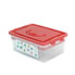 Caja Organizadora de Plástico Tapa y Compartimiento (Rojo)